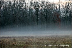 Fog Rolling In