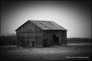 Abandoned barn in Gratiot County, Michigan 