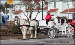 There were several horse drawn wagons going down the Main Street. Beautiful sight. 
