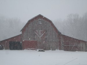 The view from my front porch. 